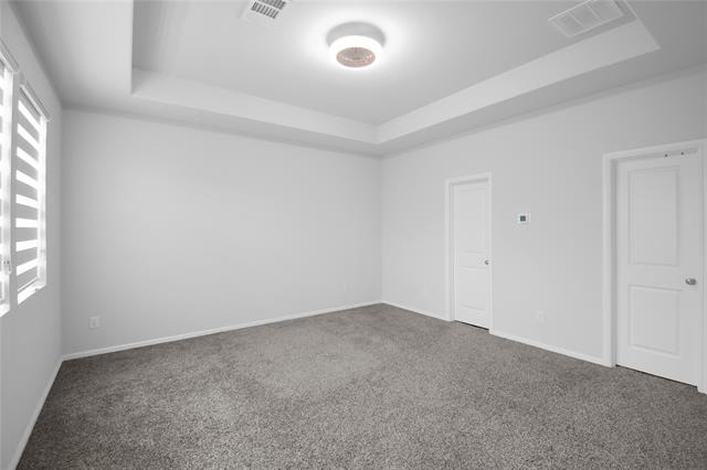 728 Rusty Spurs Place - Photo 16