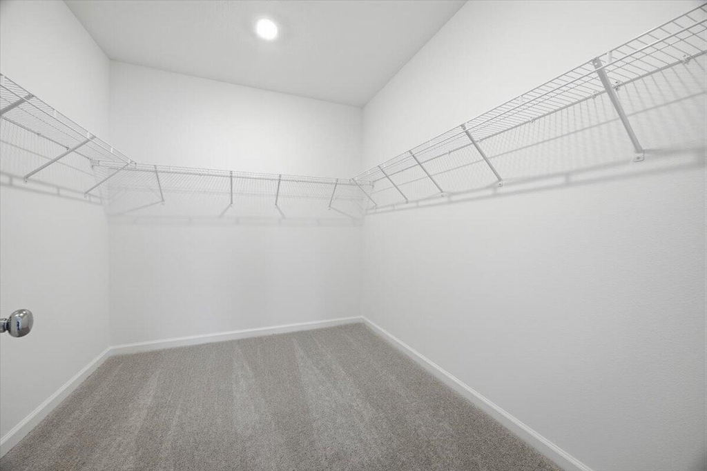 3040 Chromatic Street - Photo 23