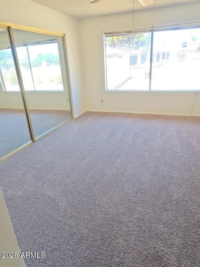 11226 S Tomi Drive - Photo 9