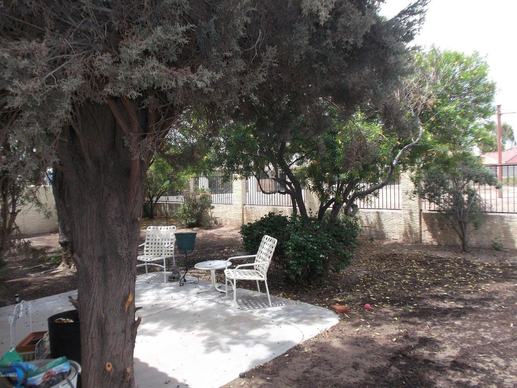 11226 S Tomi Drive - Photo 16