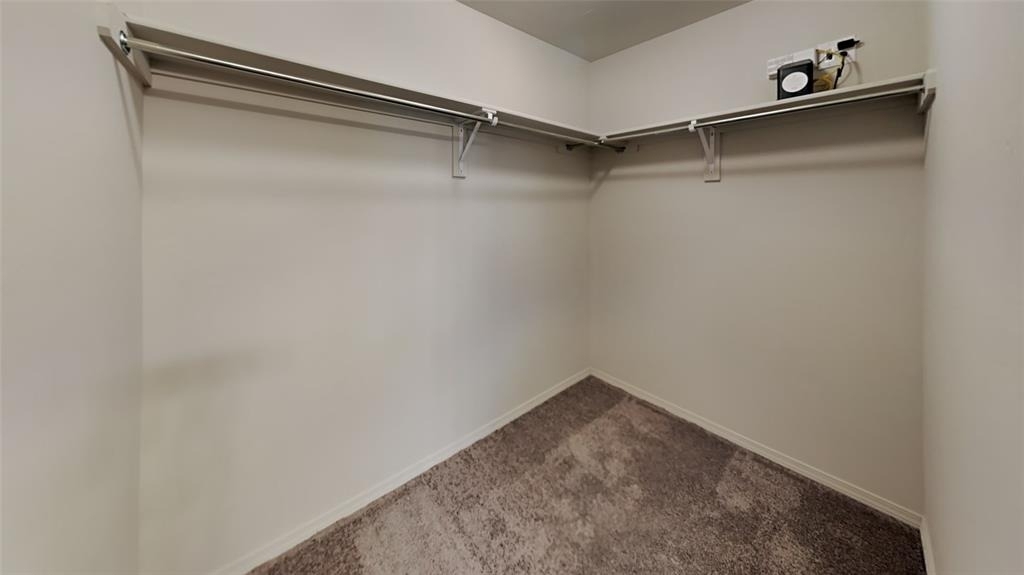 4313 Winding Brook - Photo 10