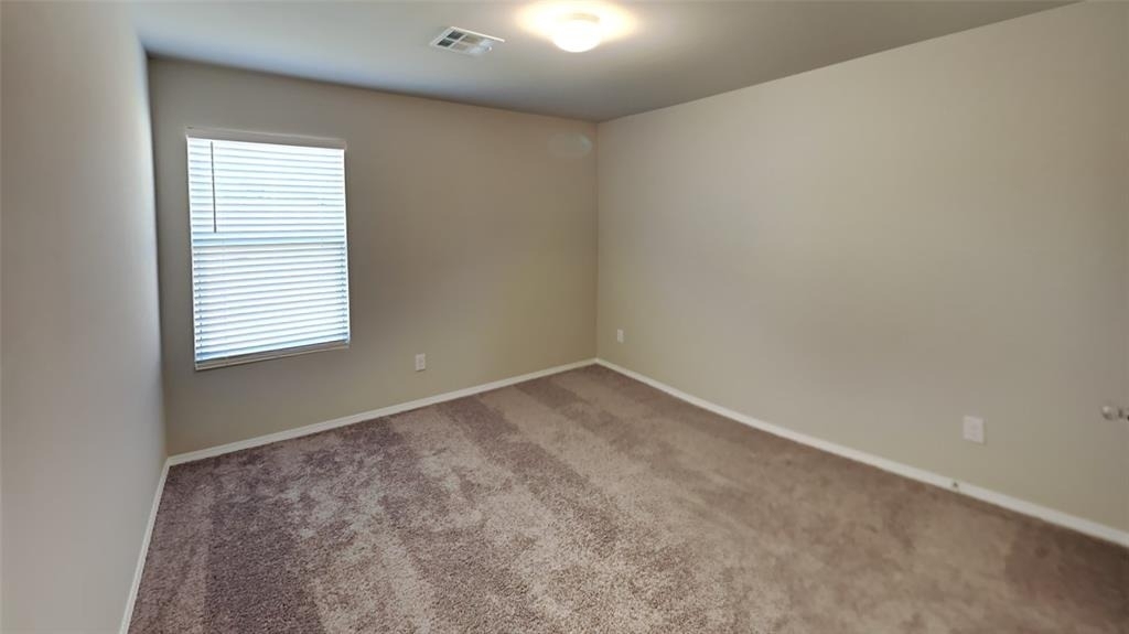 4313 Winding Brook - Photo 14
