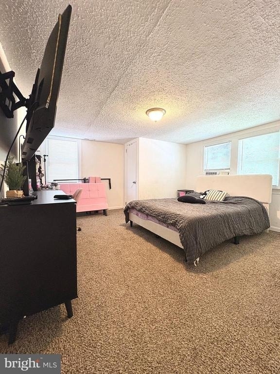 167 Blackwood Road - Photo 8