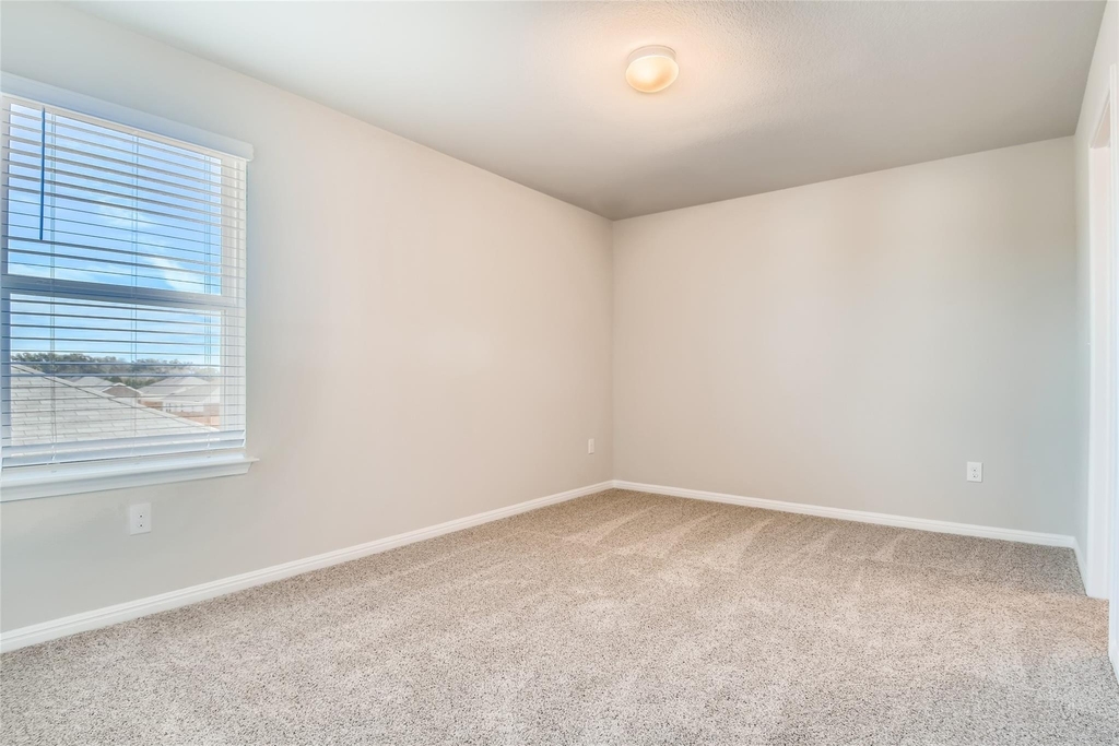 121 Freedom Park Ave - Photo 19