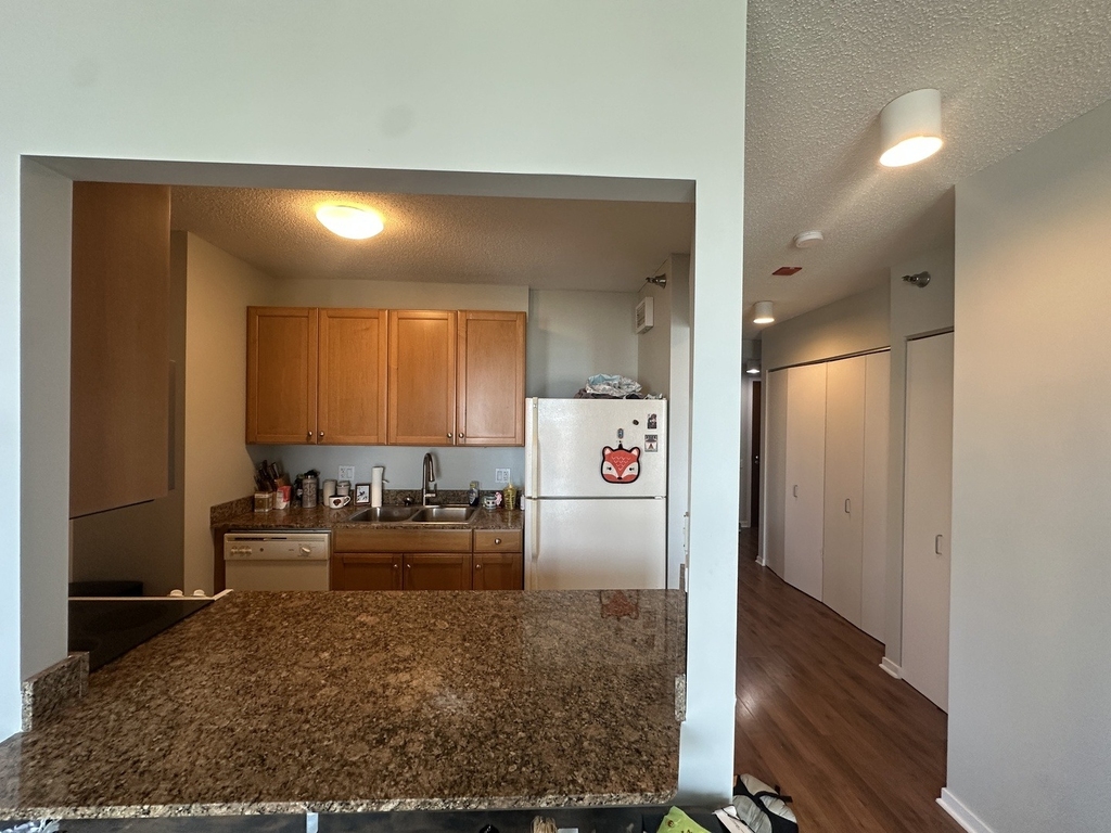 400 N La Salle Drive - Photo 3