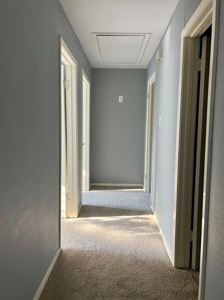 7627 Candlegreen Lane - Photo 35