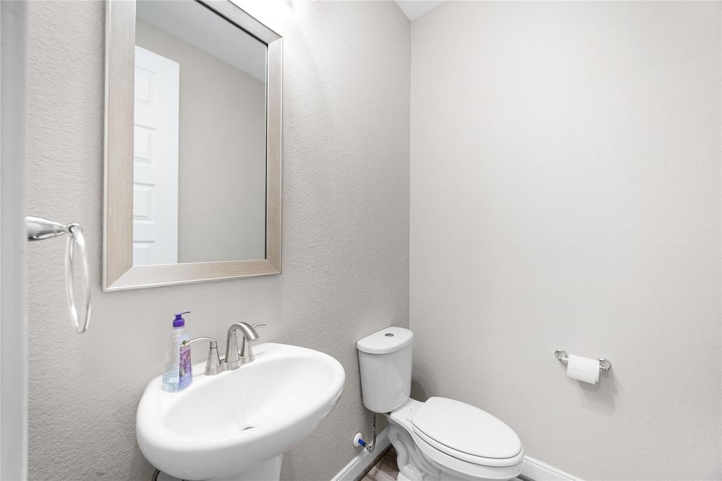 17681 Rosette Grass Drive - Photo 30