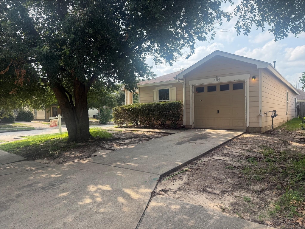 8103 Forest Glen Drive - Photo 2