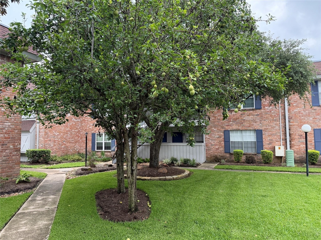 2250 Bering Drive - Photo 2