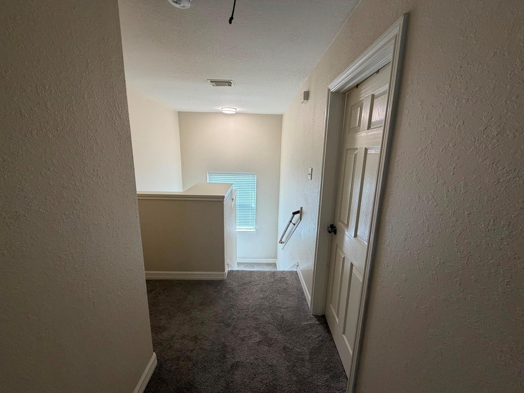 17923 Hollow Hill Lane - Photo 3