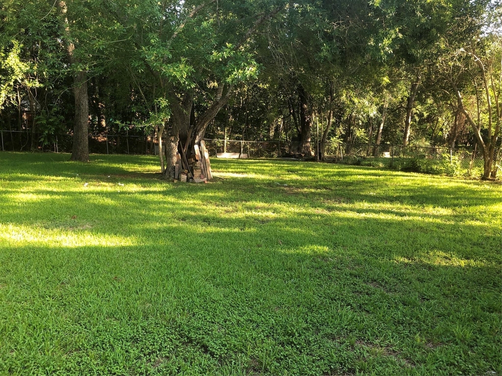 111 Wheaton Street - Photo 3