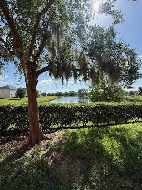 5447 Vineland Road - Photo 11