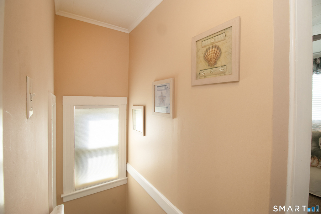 37 Lawrence Avenue - Photo 21