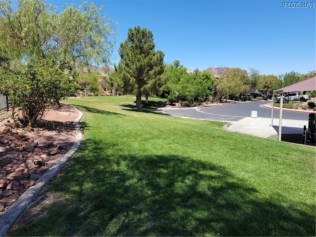 637 Lucky Pine Street - Photo 47