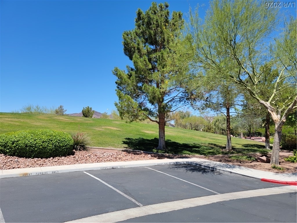 637 Lucky Pine Street - Photo 43