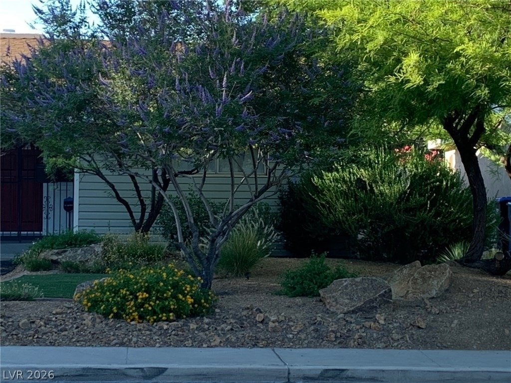 2612 Mason - Photo 2