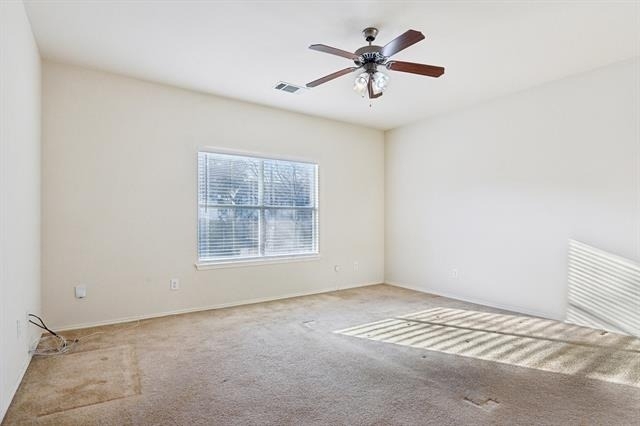 3019 Appaloosa Drive - Photo 17