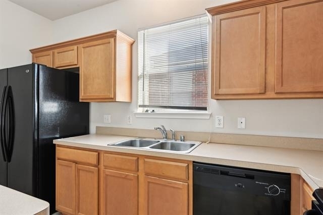 3019 Appaloosa Drive - Photo 9