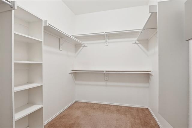 3019 Appaloosa Drive - Photo 19