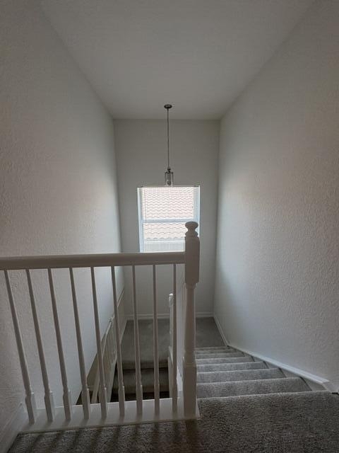 8187 Half Dome Court - Photo 34