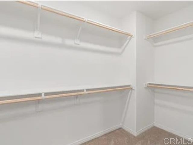 30163 Spineflower St - Photo 9