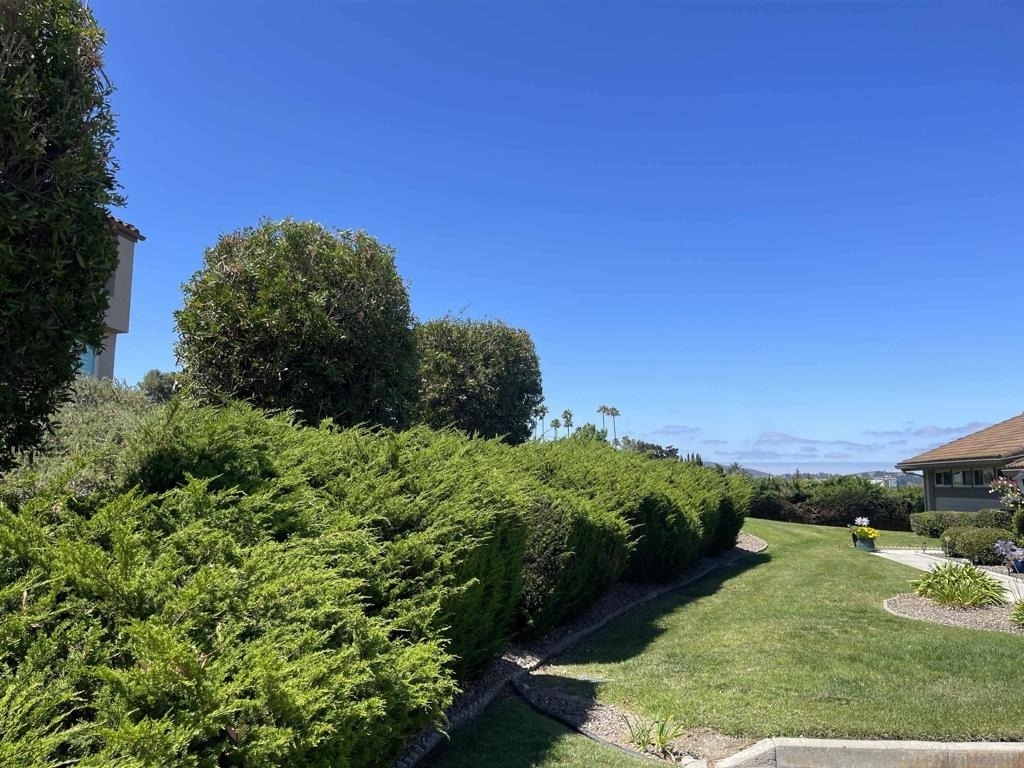 17309 Plaza Maria - Photo 2