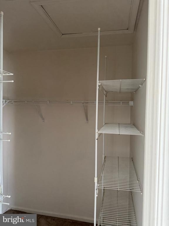 22248 Great Trail Terrace - Photo 14