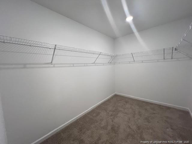 151 Cahill Court - Photo 24