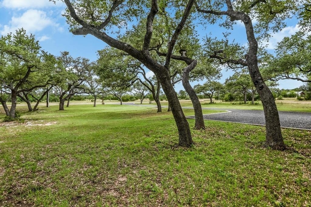 297 Blue Sky Ln - Photo 38