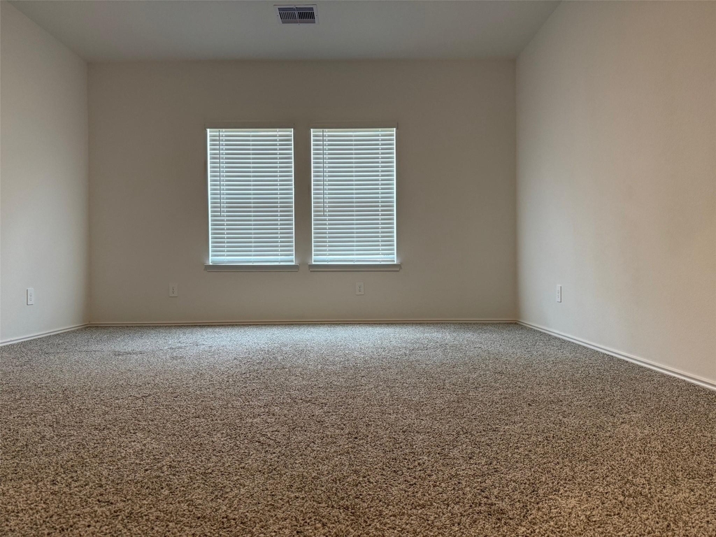 31310 Derbyhaven Drive - Photo 10