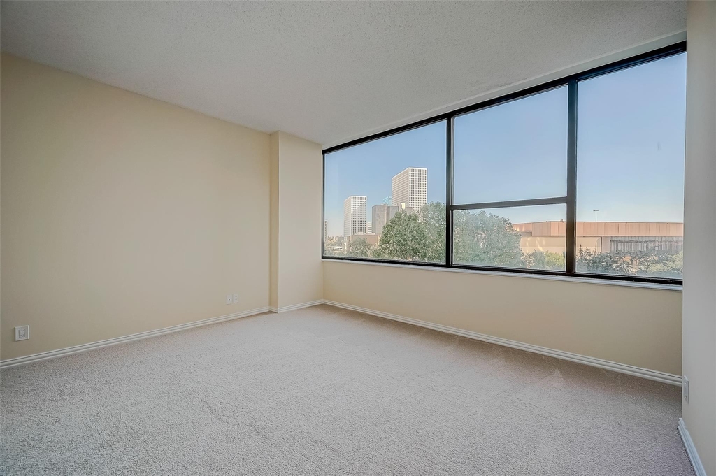 14 Greenway Plaza - Photo 17