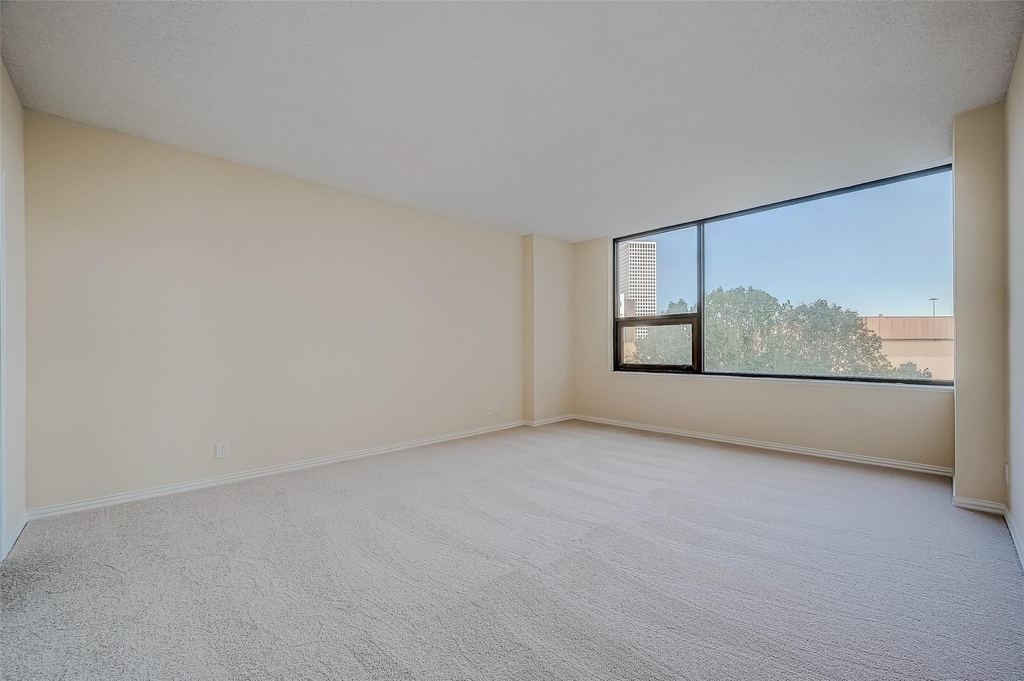 14 Greenway Plaza - Photo 19