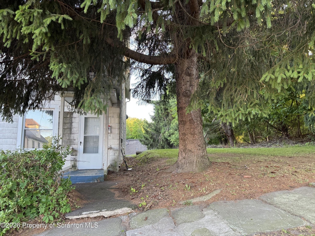 233 Reese Street - Photo 0