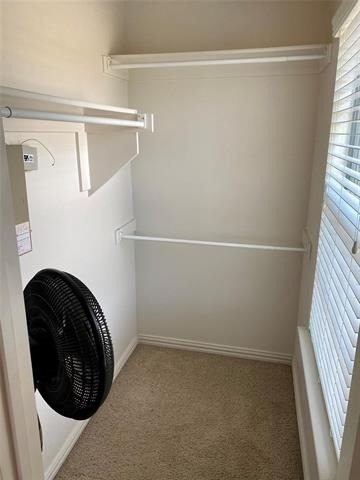 3105 Carlisle Street - Photo 12