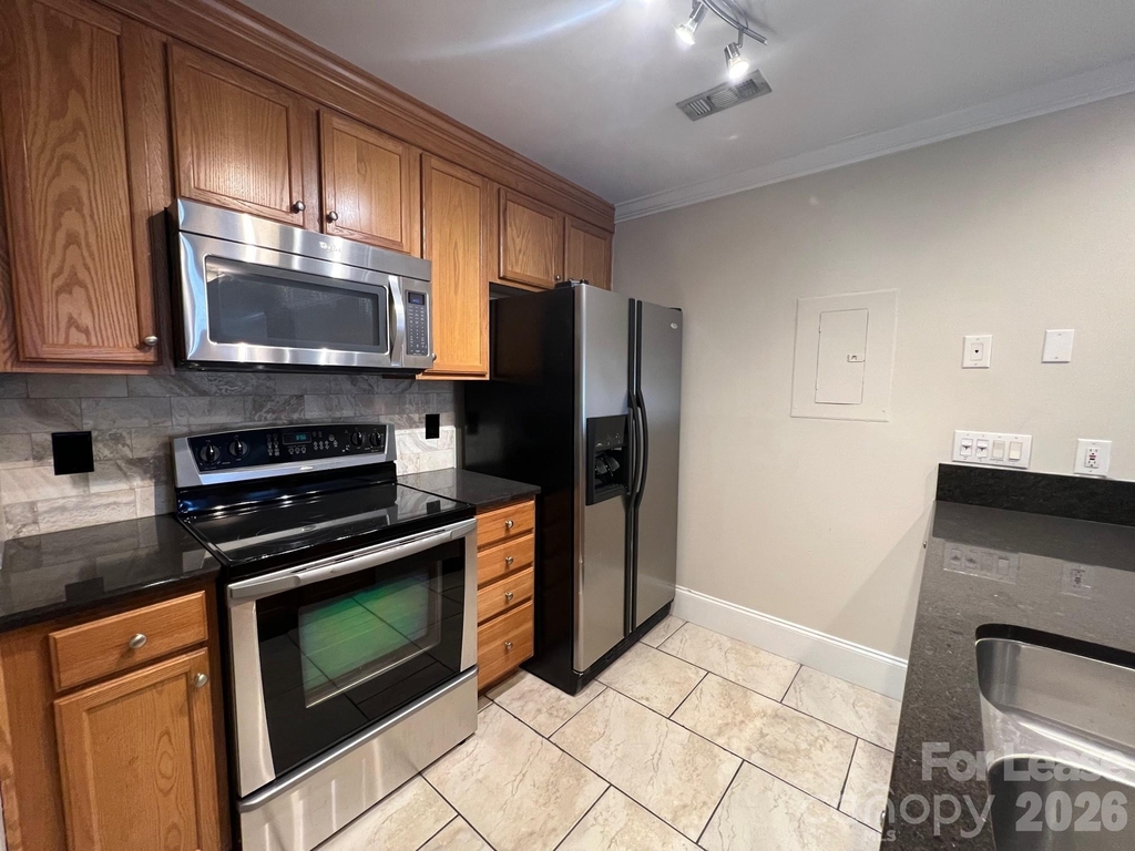18733 Vineyard Point Lane - Photo 9