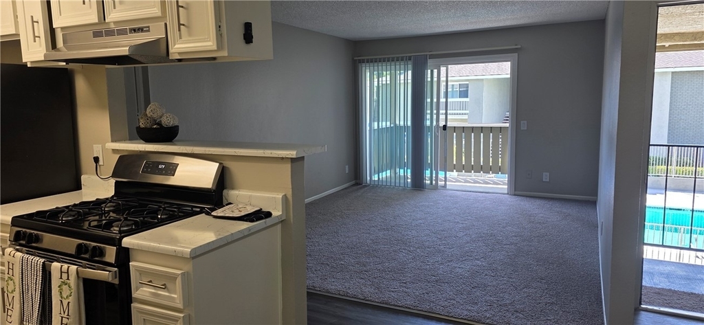 10601 Diana Avenue - Photo 6