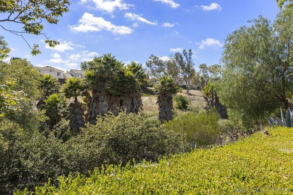 14624 Carmel Ridge Rd - Photo 39