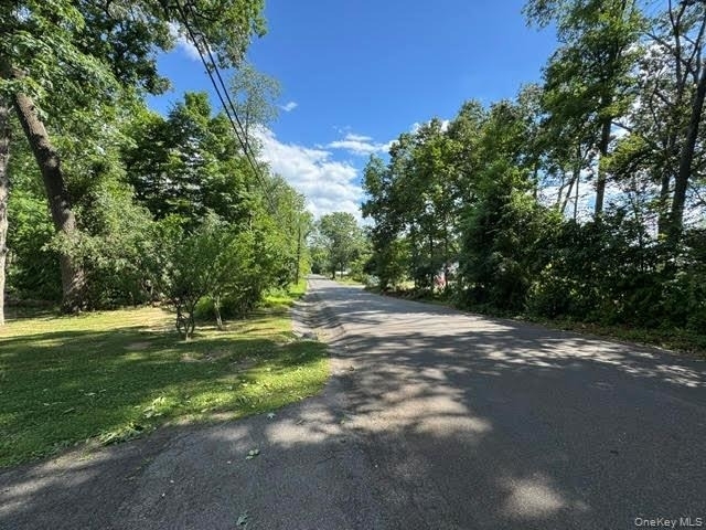 49 Chestnut Lane - Photo 34