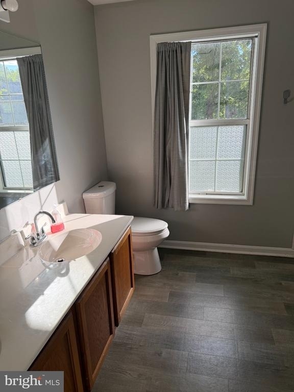 50 Dorothy Lane - Photo 15