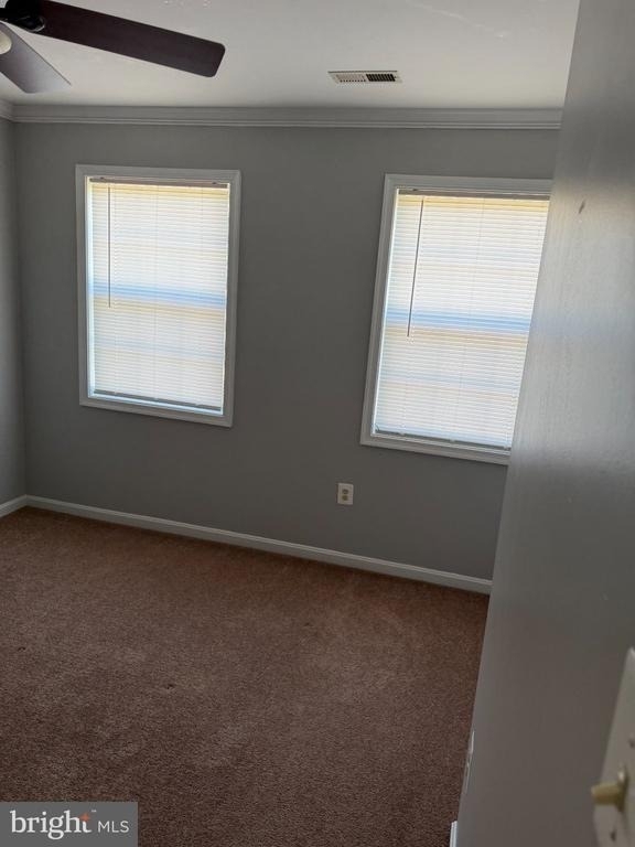 50 Dorothy Lane - Photo 19