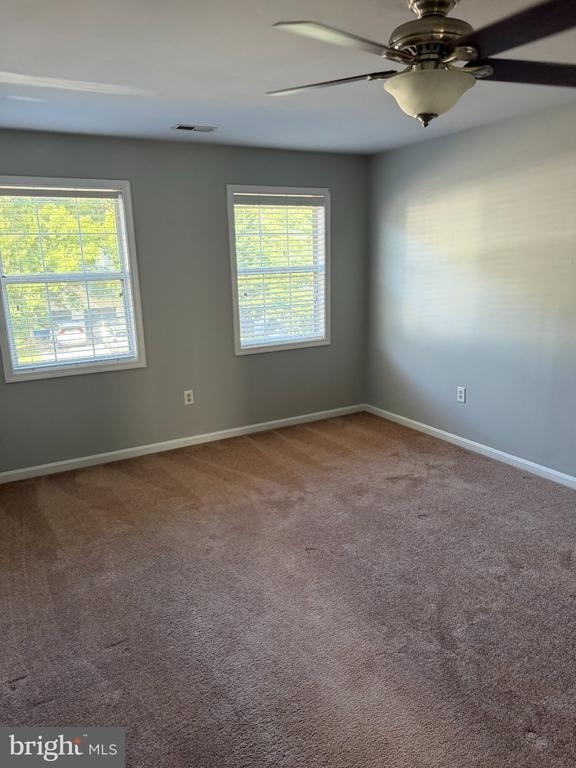 50 Dorothy Lane - Photo 18