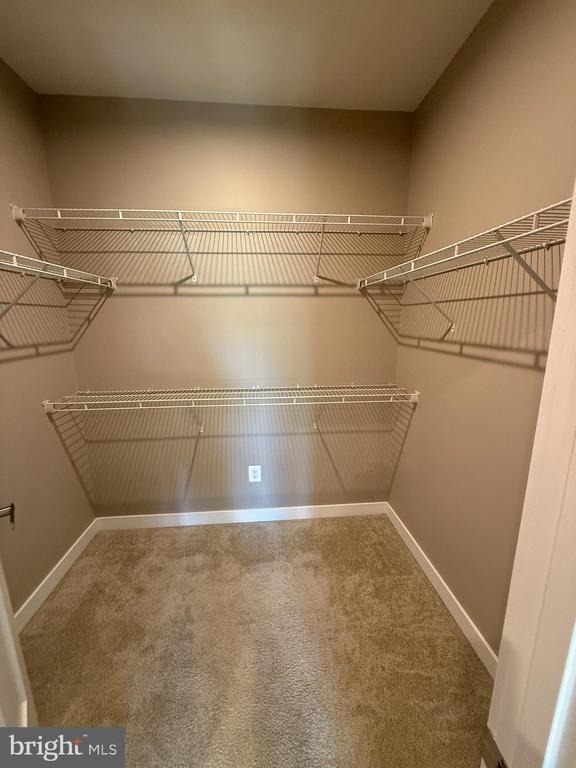 18157 Red Mulberry Road - Photo 57