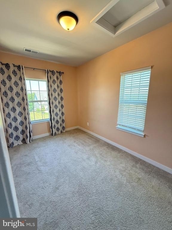 18157 Red Mulberry Road - Photo 59