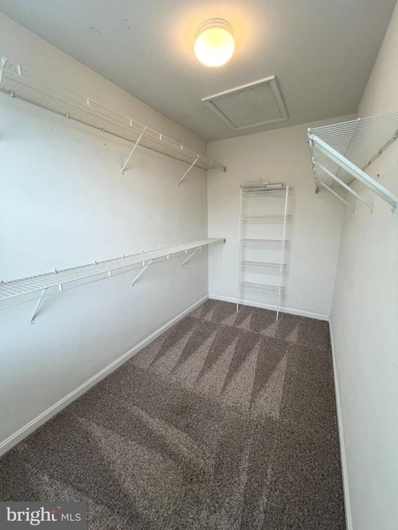 22464 Maison Carree Square - Photo 12