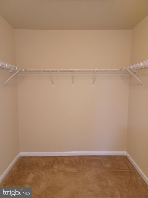 103 Argyle Court - Photo 11
