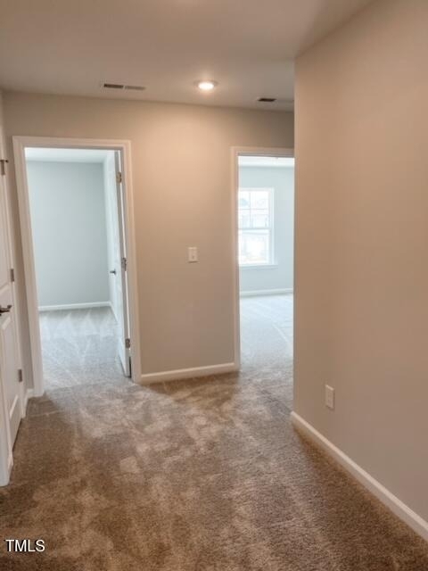 305 Annabelle Blue Drive - Photo 6