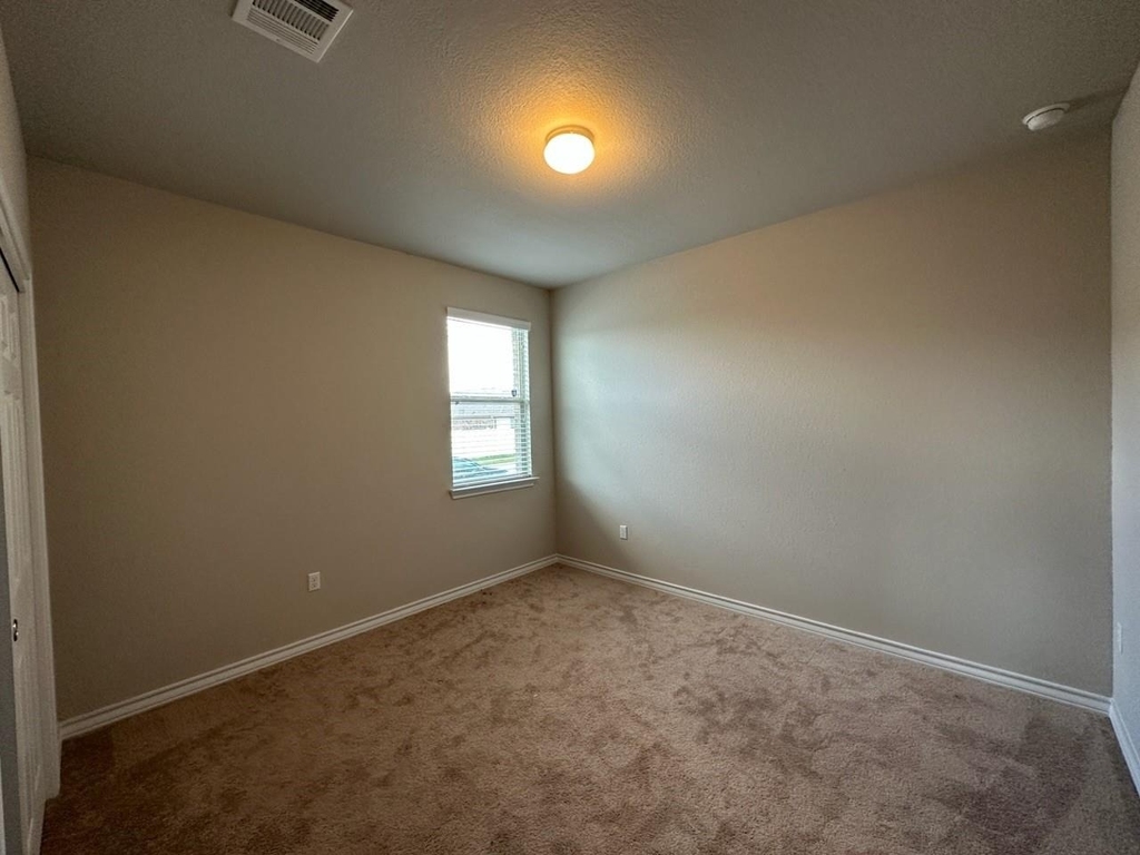 10901 Mickelson Dr - Photo 17