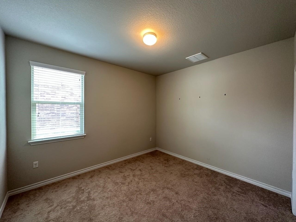 10901 Mickelson Dr - Photo 18