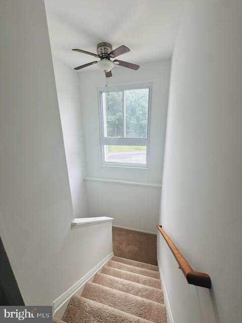 6 Ojibway - Photo 16