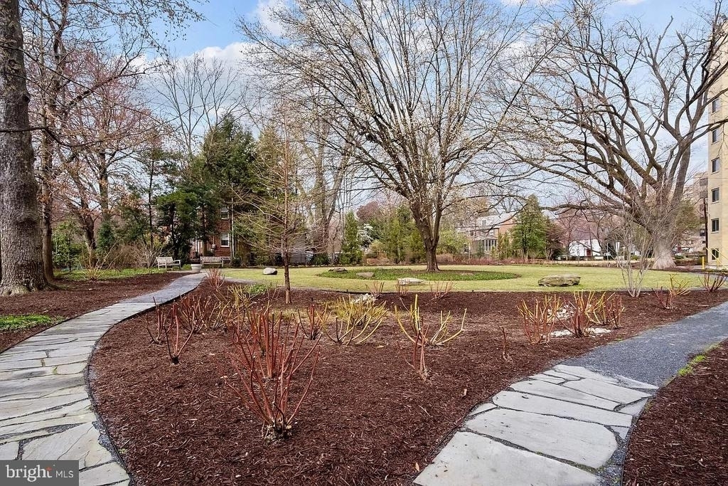 4600 Connecticut Avenue Nw - Photo 37